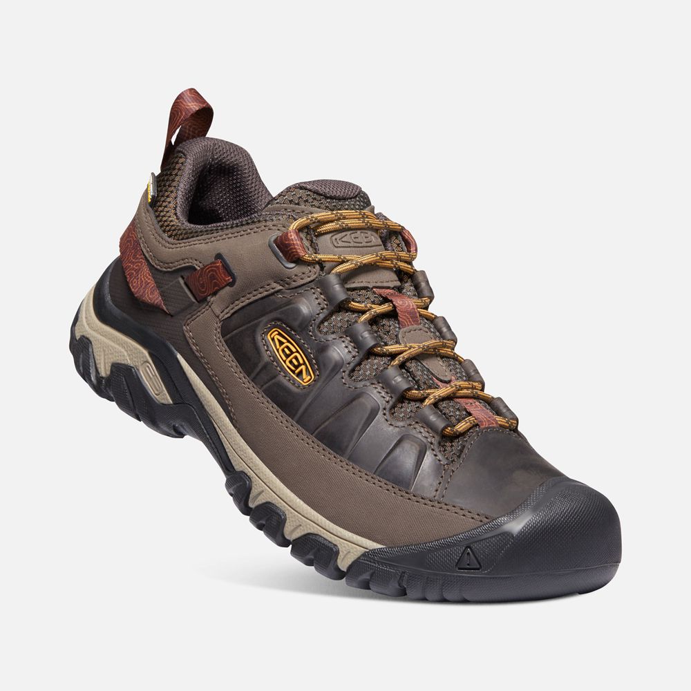 Chaussure de Randonnée Keen Homme Marron/Orange | Targhee Iii Waterproof | EJYVG-0823